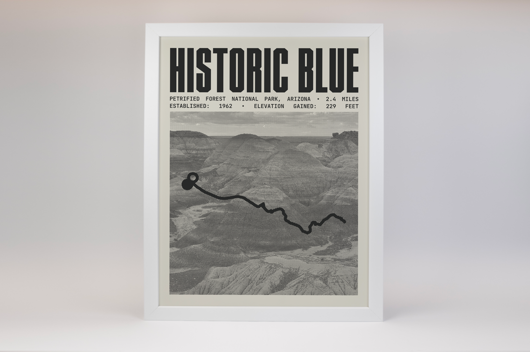 Historic Blue Forest Trail Poster | Petrified Forest National Park Prints