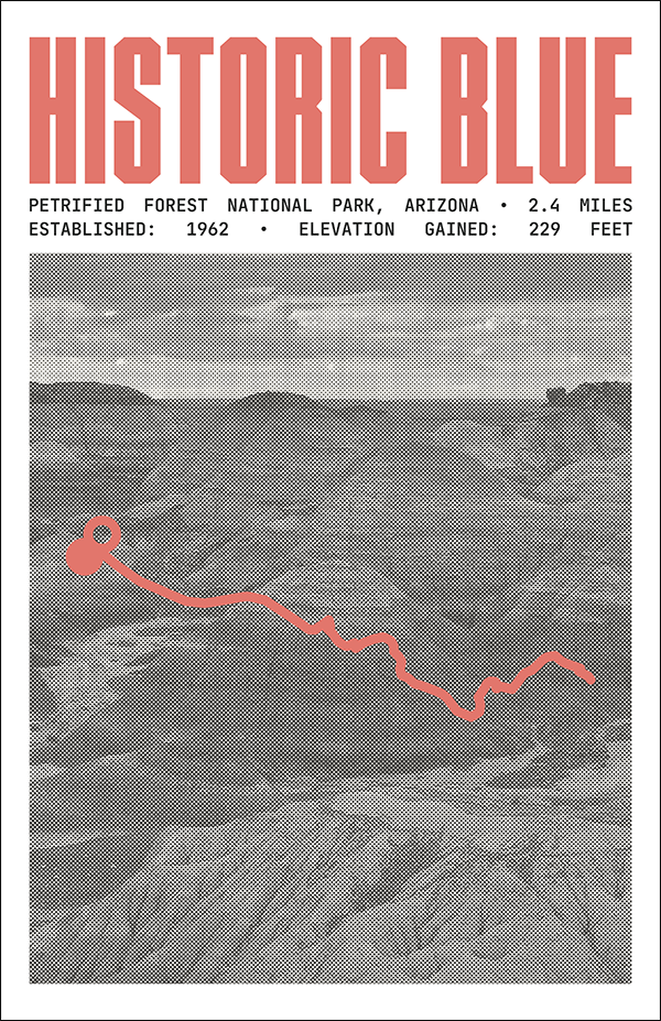 Historic Blue Forest Trail Poster | Petrified Forest National Park Prints