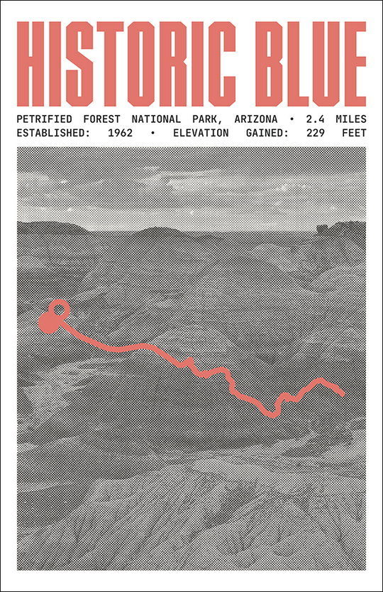 Historic Blue Forest Trail Poster | Petrified Forest National Park Prints