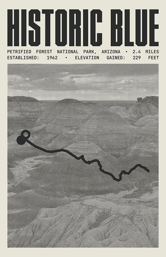 Historic Blue Forest Trail Poster | Petrified Forest National Park Prints