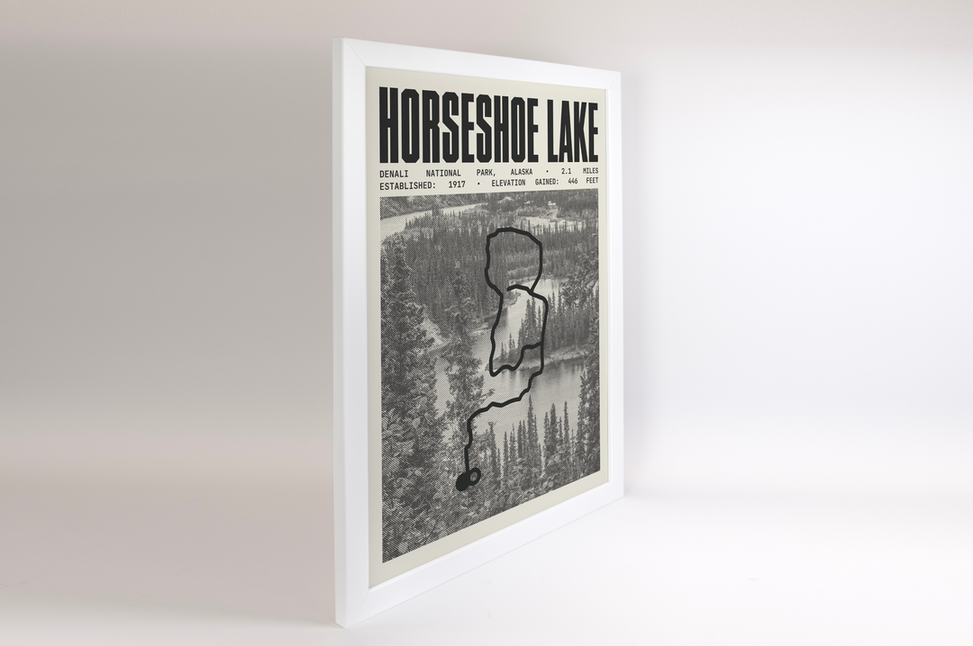 Horseshoe Lake Trail Poster | Denali National Park Prints