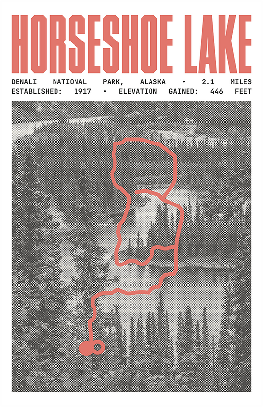 Horseshoe Lake Trail Poster | Denali National Park Prints