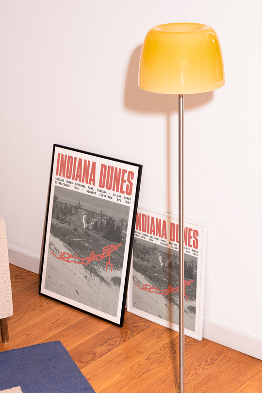 Indiana Dunes National Park Poster