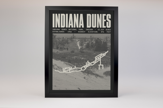 Indiana Dunes National Park Poster