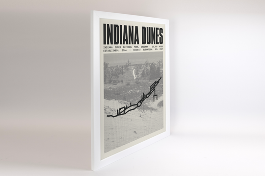 Indiana Dunes National Park Poster