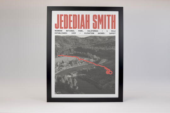 Jedediah Smith River Trail Poster | Redwood National Park Prints