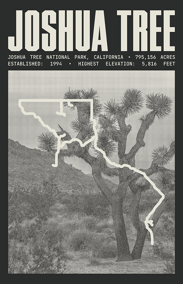 Joshua Tree National Park Poster