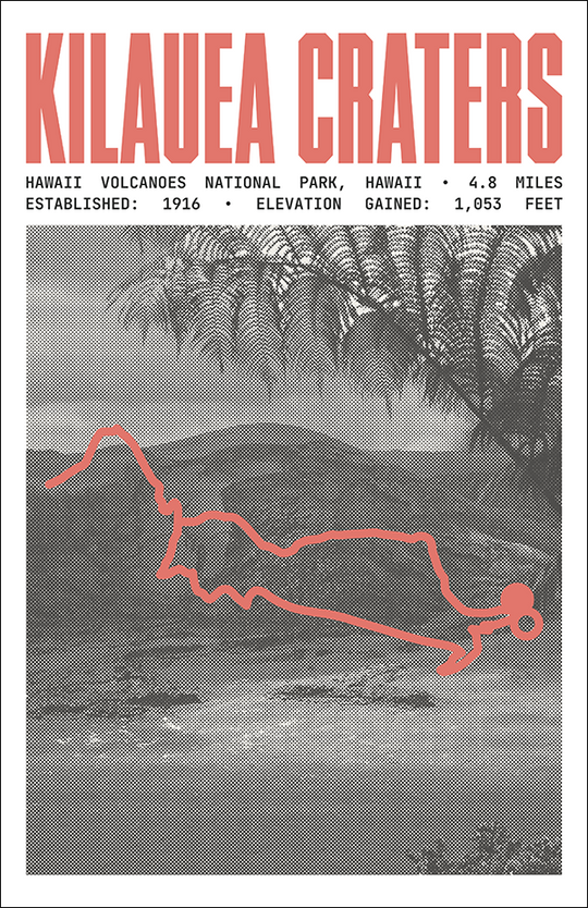 Kilauea Craters Trail Poster | Hawaii Volcanoes National Park Prints