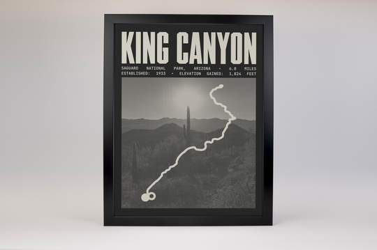 King Canyon Trail Poster | Saguaro National Park Prints