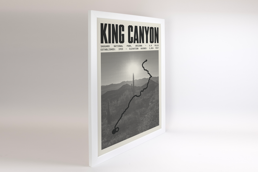 King Canyon Trail Poster | Saguaro National Park Prints