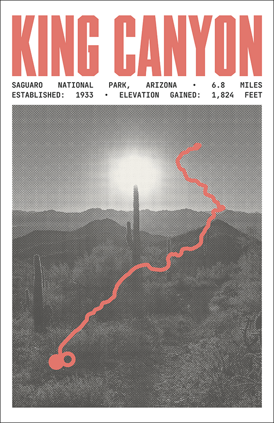 King Canyon Trail Poster | Saguaro National Park Prints