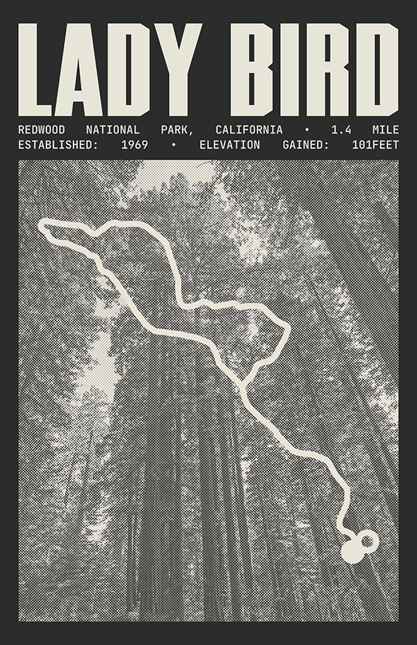 Lady Bird Johnson Grove Trail Poster | Redwood National Park Prints