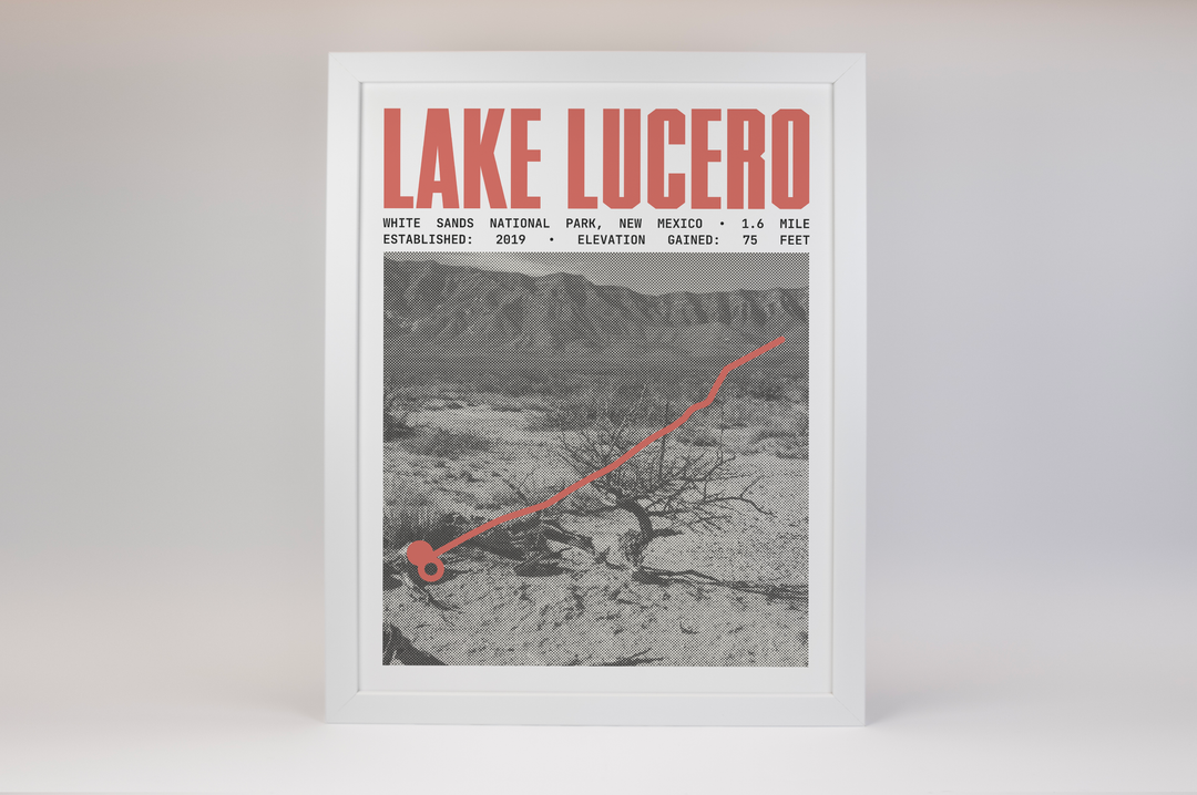 Lake Lucero Path Poster | White Sands National Park Prints