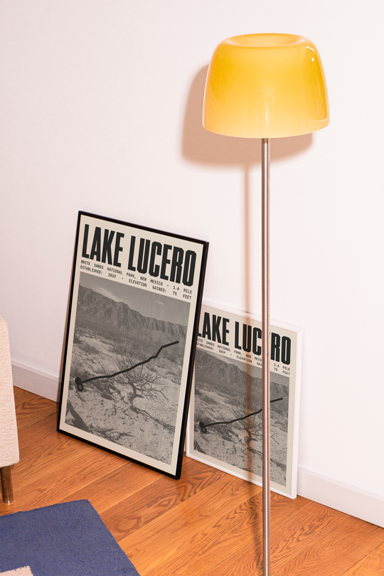 Lake Lucero Path Poster | White Sands National Park Prints