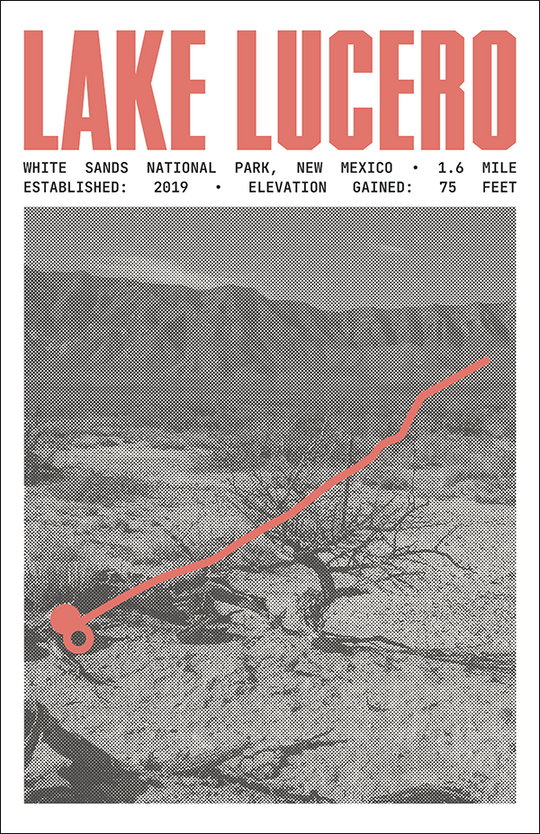 Lake Lucero Path Poster | White Sands National Park Prints