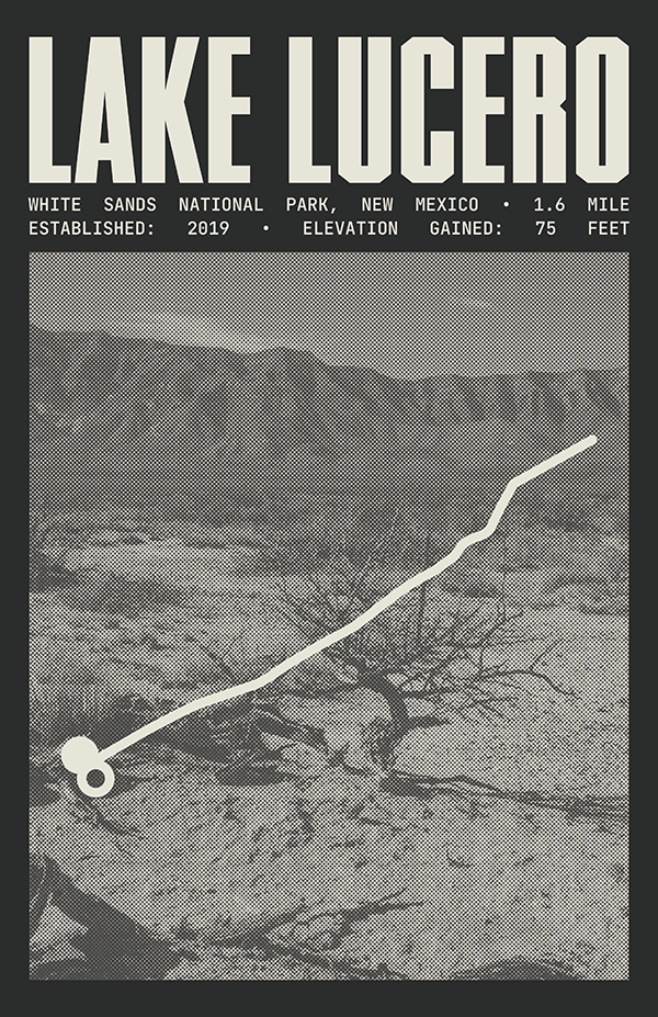 Lake Lucero Path Poster | White Sands National Park Prints