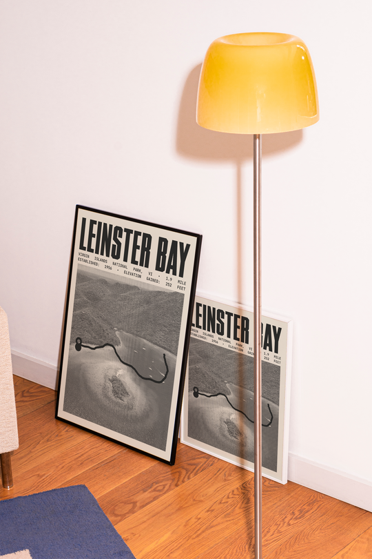 Leinster Bay Trail Poster | Virgin Islands National Park Prints