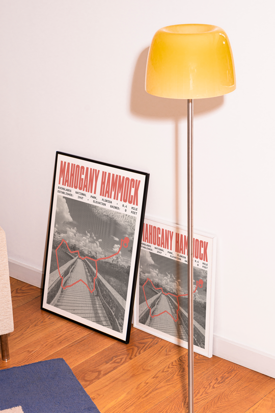 Mahogany Hammock Trail Poster | Everglades National Park Prints