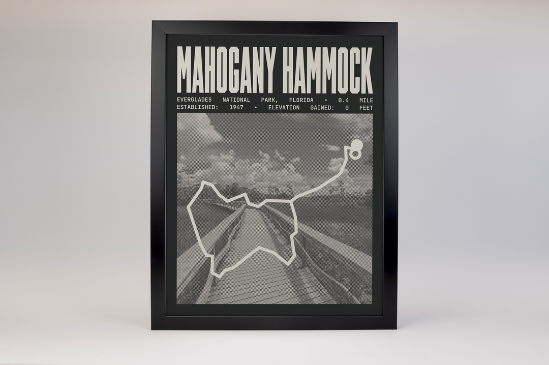 Mahogany Hammock Trail Poster | Everglades National Park Prints