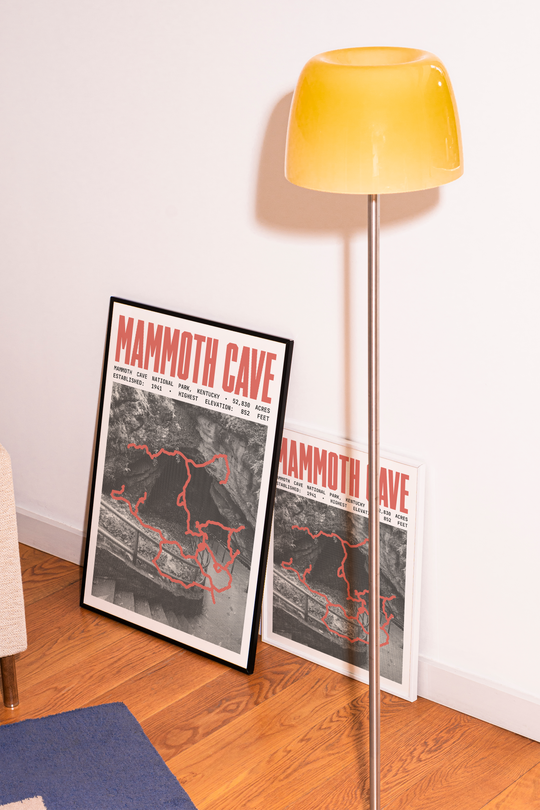 Mammoth Cave National Park Poster