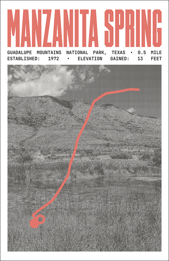 Manzanita Spring Trail Poster | Guadalupe Mountains National Park Prints