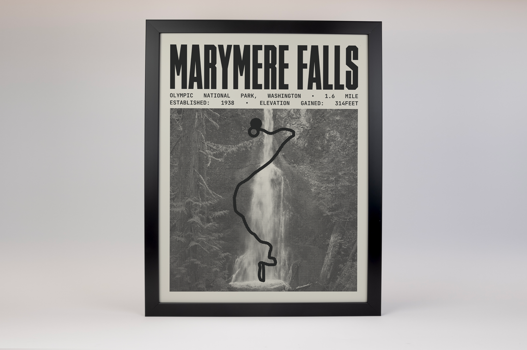 Marymere Falls Trail Poster | Olympic National Park Prints