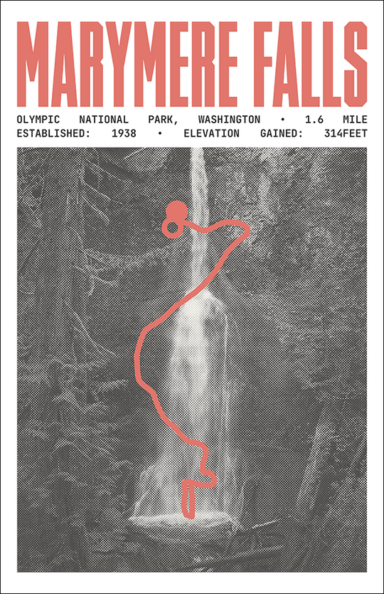 Marymere Falls Trail Poster | Olympic National Park Prints