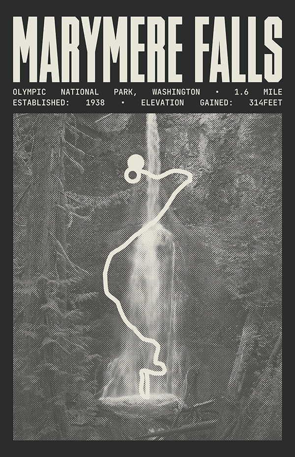 Marymere Falls Trail Poster | Olympic National Park Prints