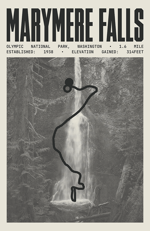 Marymere Falls Trail Poster | Olympic National Park Prints