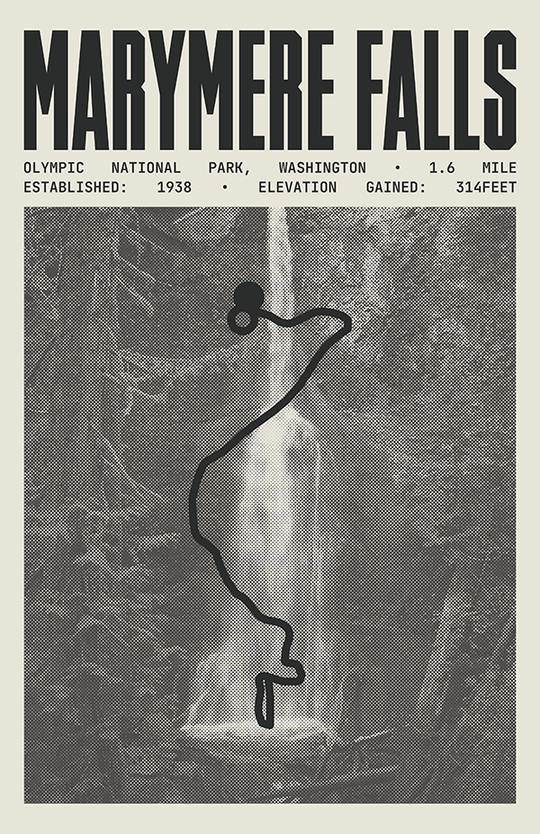 Marymere Falls Trail Poster | Olympic National Park Prints