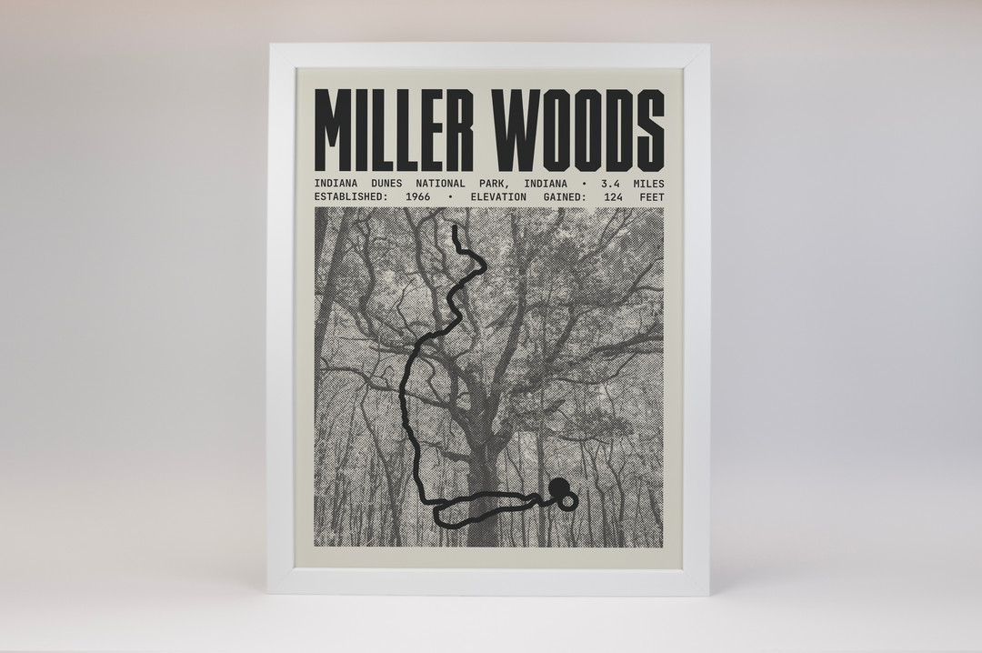 Miller Woods Trail Poster | Indiana Dunes National Park Prints