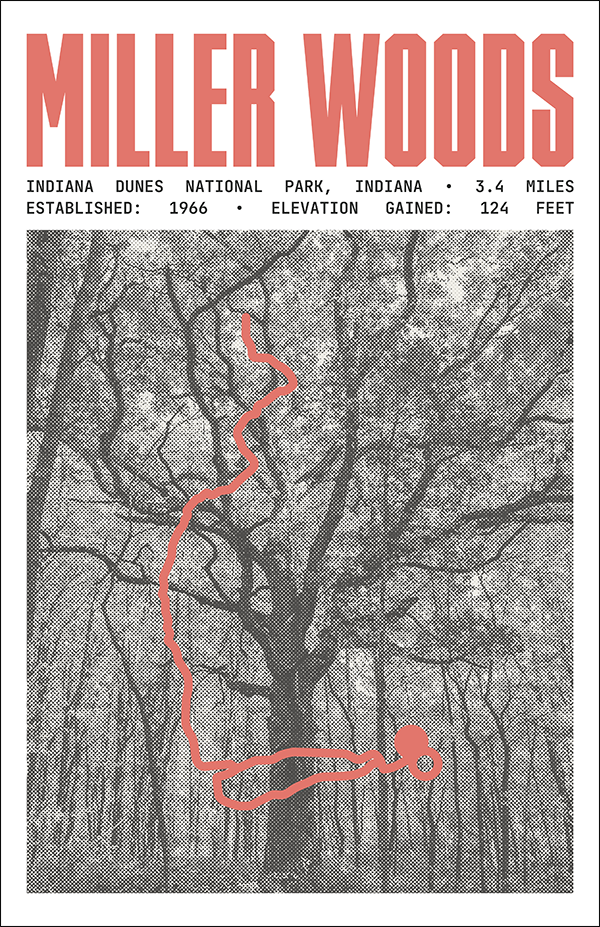 Miller Woods Trail Poster | Indiana Dunes National Park Prints