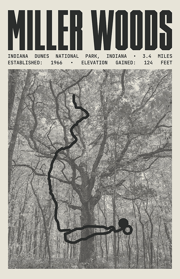 Miller Woods Trail Poster | Indiana Dunes National Park Prints