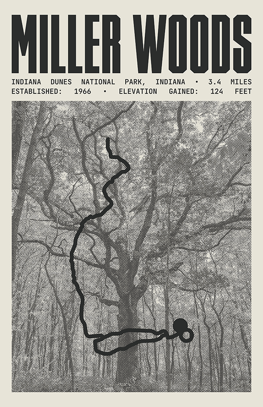 Miller Woods Trail Poster | Indiana Dunes National Park Prints