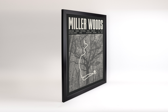 Miller Woods Trail Poster | Indiana Dunes National Park Prints