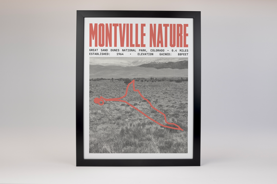 Montville Nature Trail Poster | Great Sand Dunes National Park Prints
