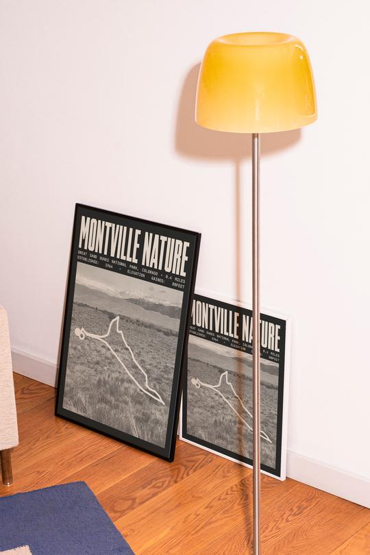 Montville Nature Trail Poster | Great Sand Dunes National Park Prints