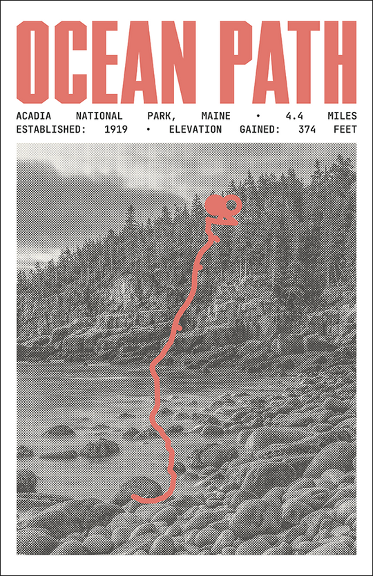 Ocean Path Trail Poster | Acadia National Park Prints