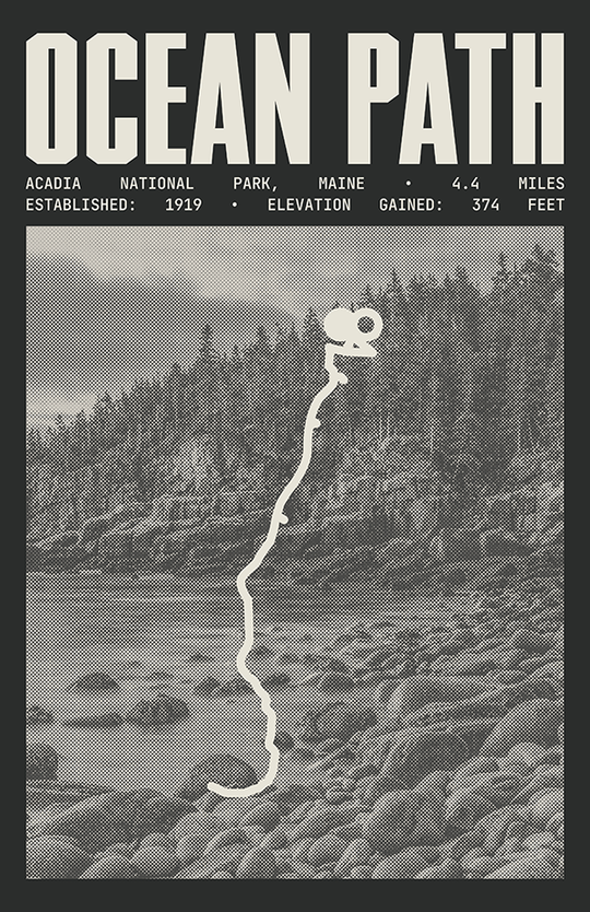 Ocean Path Trail Poster | Acadia National Park Prints