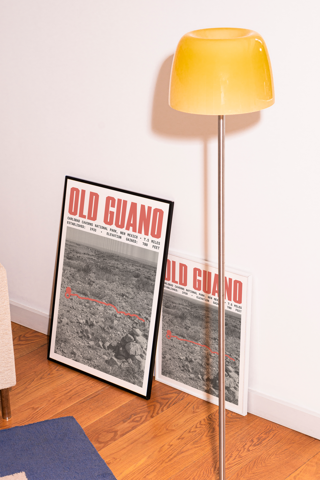 Old Guano Trail Poster | Carlsbad Caverns National Park Prints