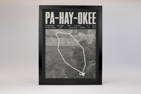 Pa-Hay-Okee Overlook Trail Poster | Everglades National Park Prints