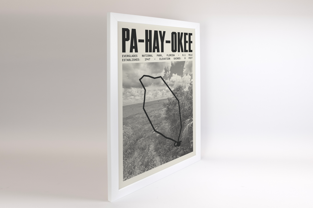 Pa-Hay-Okee Overlook Trail Poster | Everglades National Park Prints