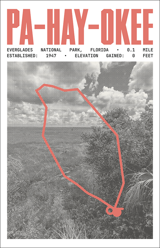 Pa-Hay-Okee Overlook Trail Poster | Everglades National Park Prints