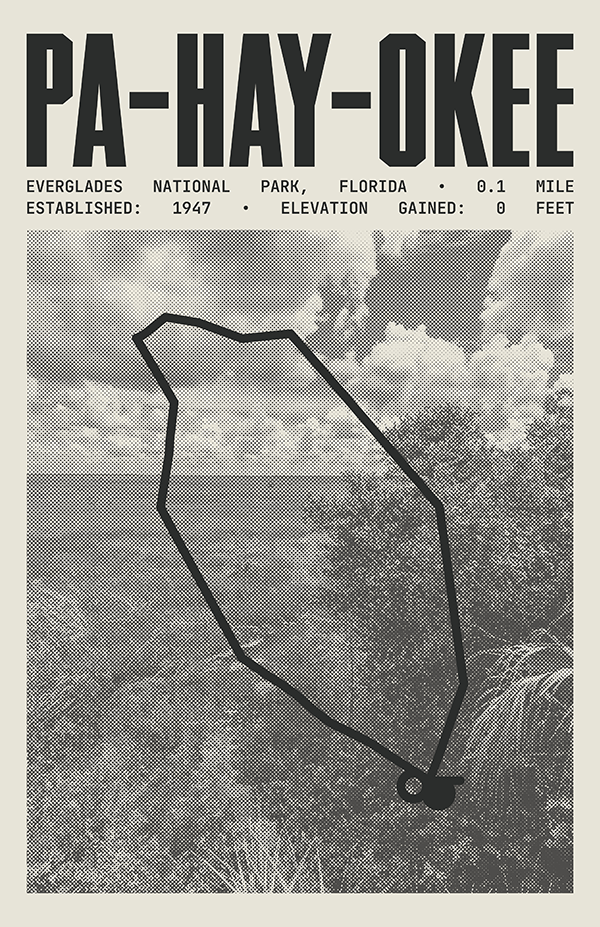 Pa-Hay-Okee Overlook Trail Poster | Everglades National Park Prints