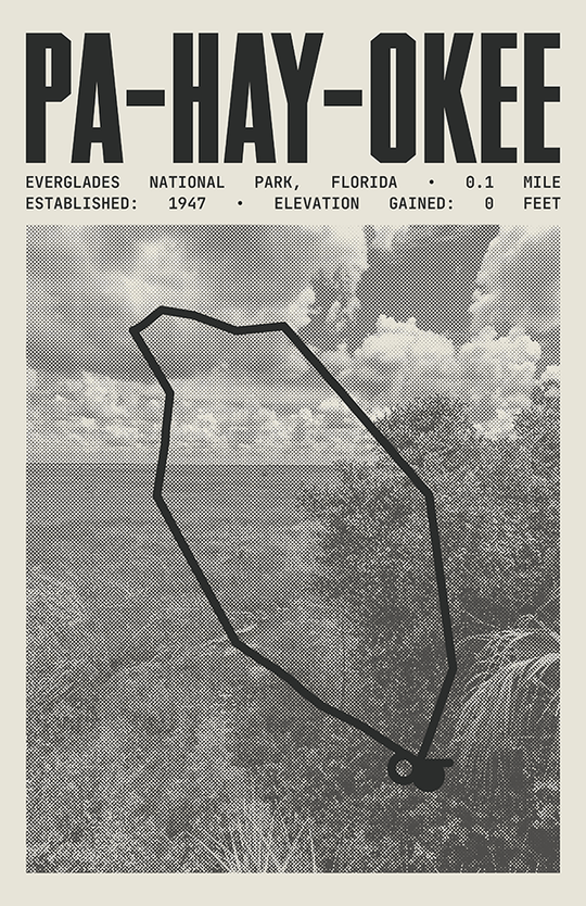 Pa-Hay-Okee Overlook Trail Poster | Everglades National Park Prints