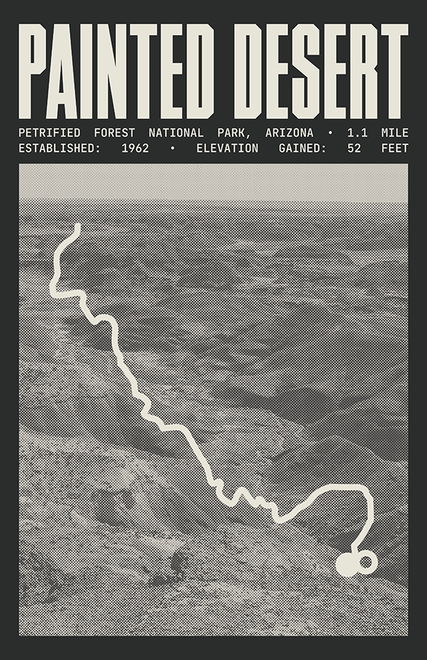 Painted Desert Rim Trail Poster | Petrified Forest National Park Prints