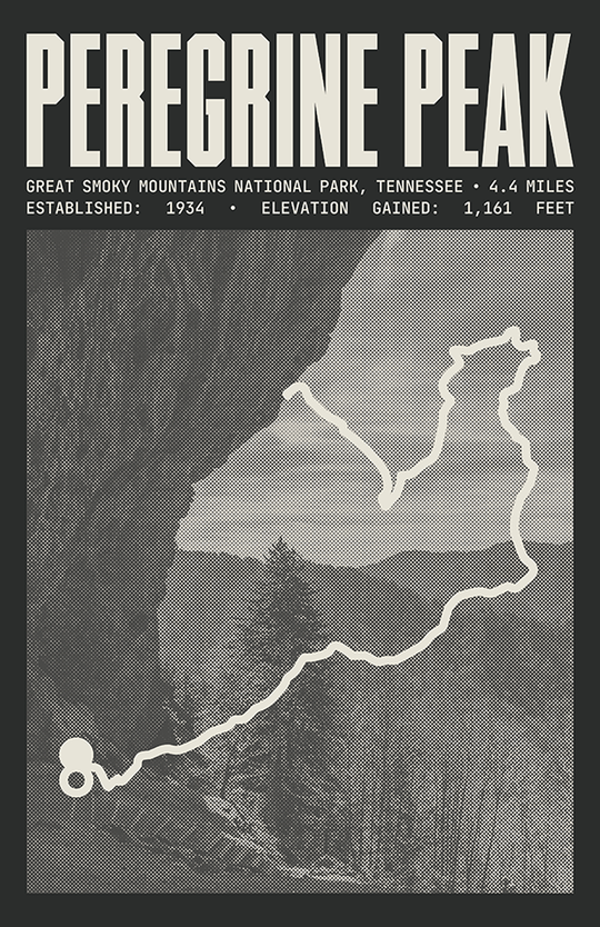Peregrine Peak Poster | Great Smoky Mountains National Park Prints