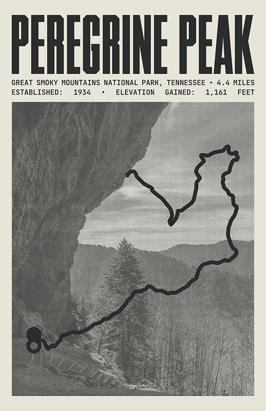 Peregrine Peak Poster | Great Smoky Mountains National Park Prints