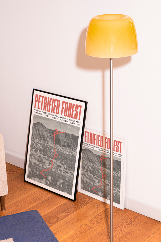 Petrified Forest National Park Poster