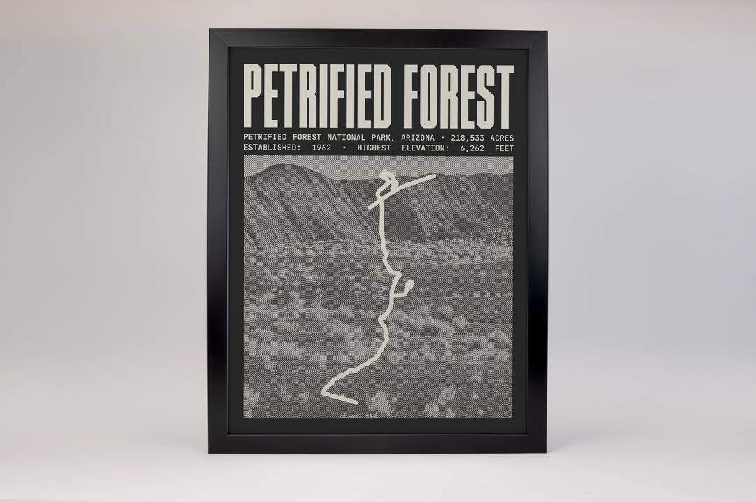 Petrified Forest National Park Poster